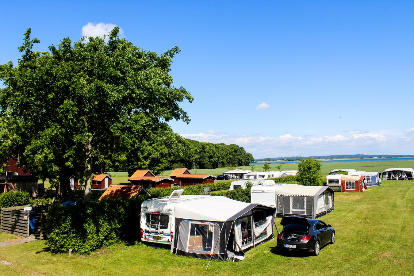 Campingplads på øen Hjarnø i Kystlandet