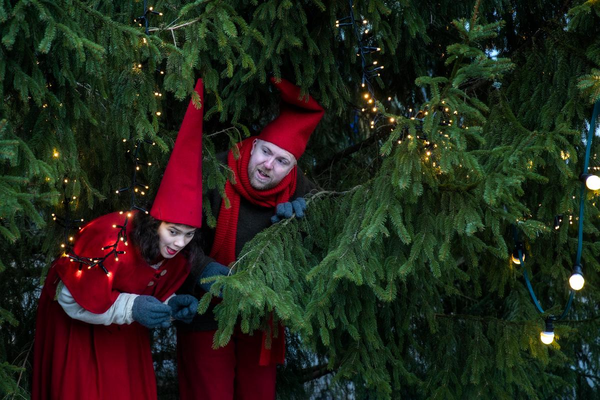 Nisser til juletræ tænding