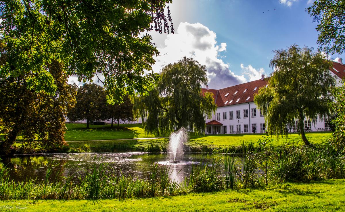 Pond behind Scandic hotel