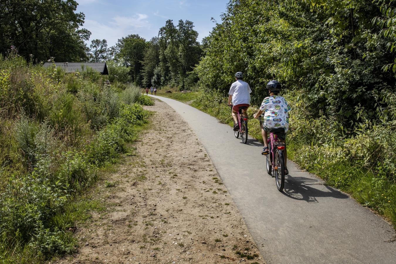 Zwei auf Radtour auf dem Naturwanderweg Horsens–Silkeborg im Küstenland in Dänemark