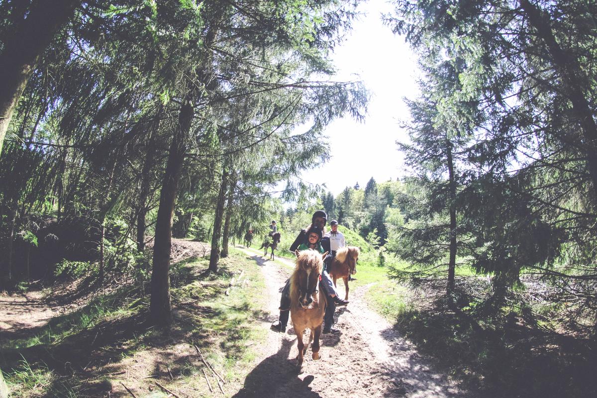 Fuglsang Horseback Riding