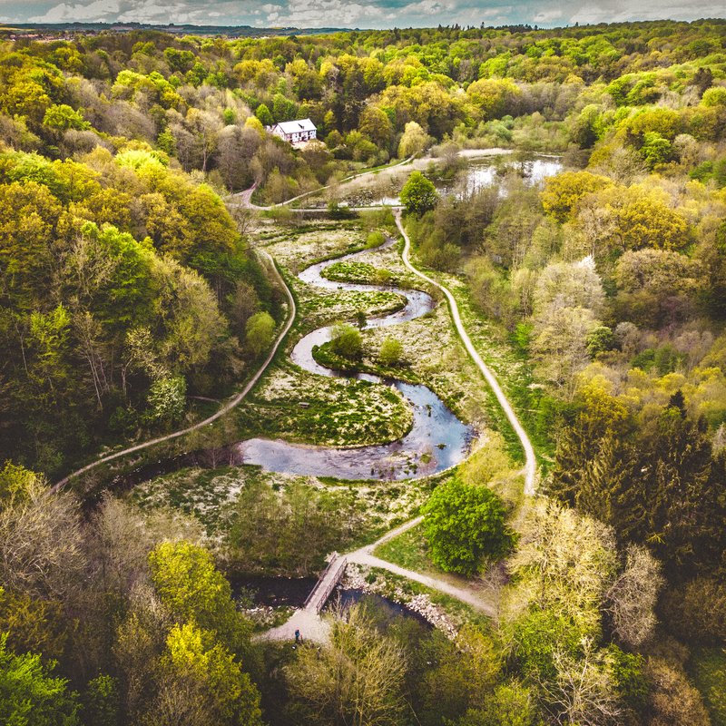 Drone photo of Hansted Forest