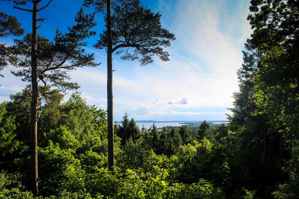 Sondrup Bakker Horsens Fjord