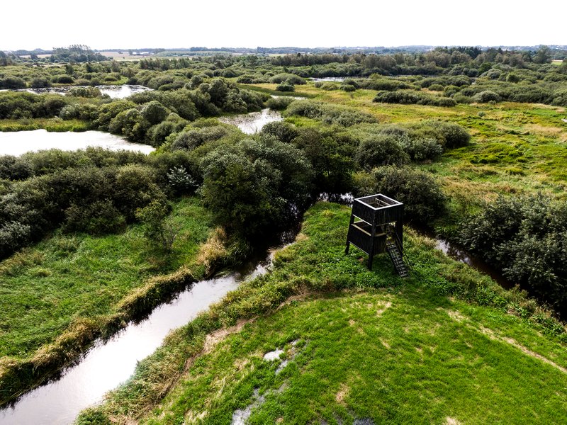 Drohnenbild von Uldum Kær und dem Vogelturm im Küstenland
