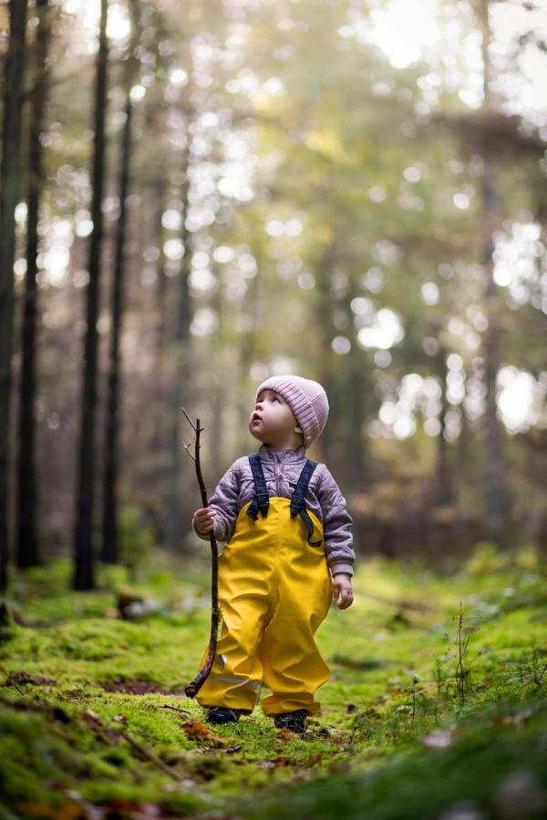 A child is standing in a forest in Sondrup