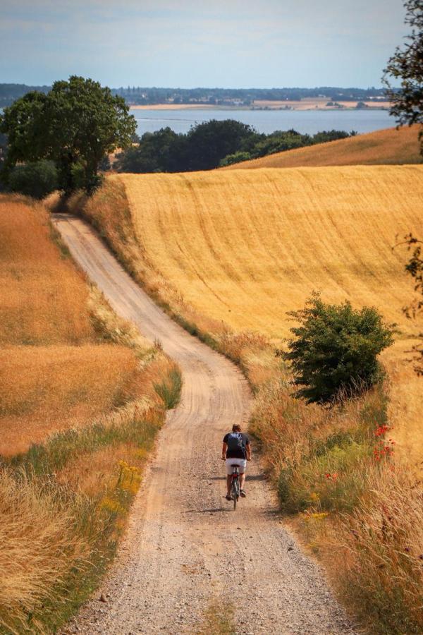 Man rides a bike at vantage point Trustrup, overlooking Horsens Fjord