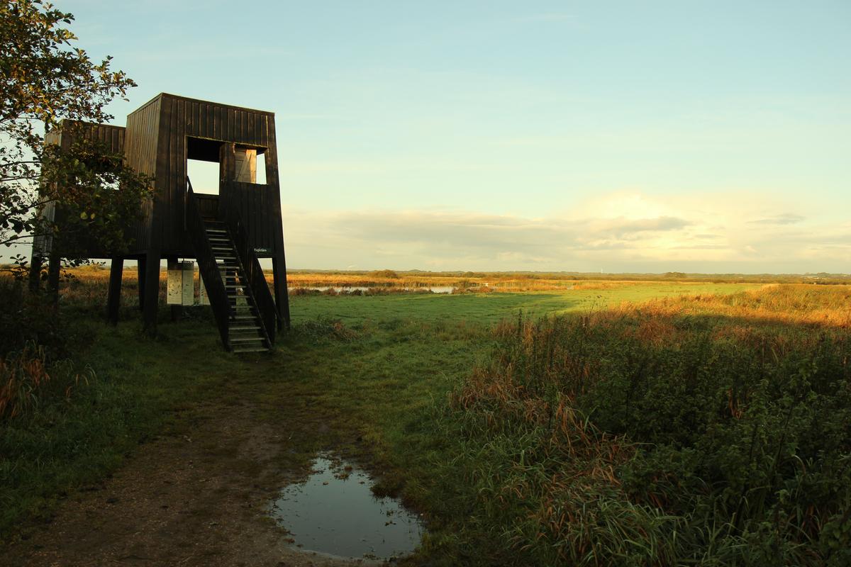 Vogelturm Uldum Kær