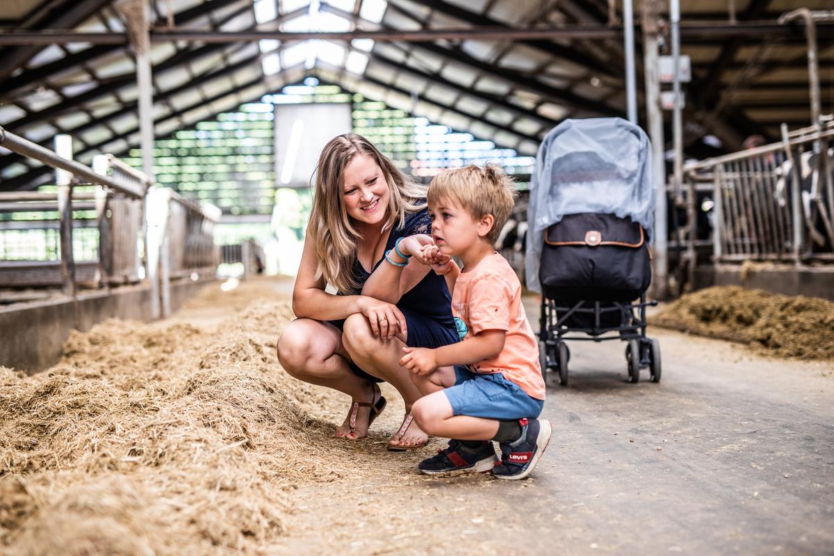 Familie zu Besuch in der Molkerei des Vejlskovgaard