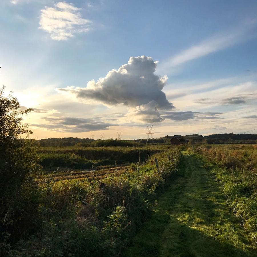 Naturgebiet Die Vier Wiesen in Horsens