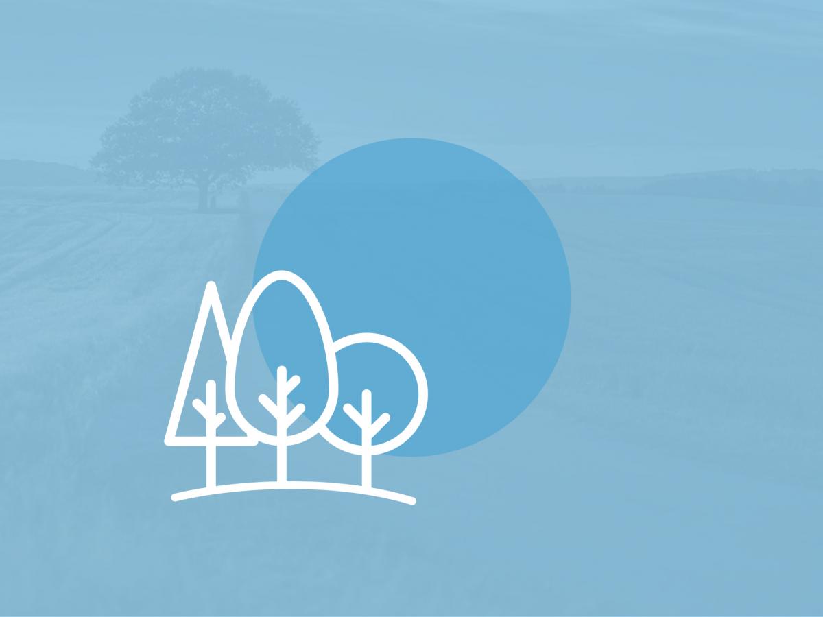 Coverbillede til temaside om Naturoplevelser i Destination Kystlandet