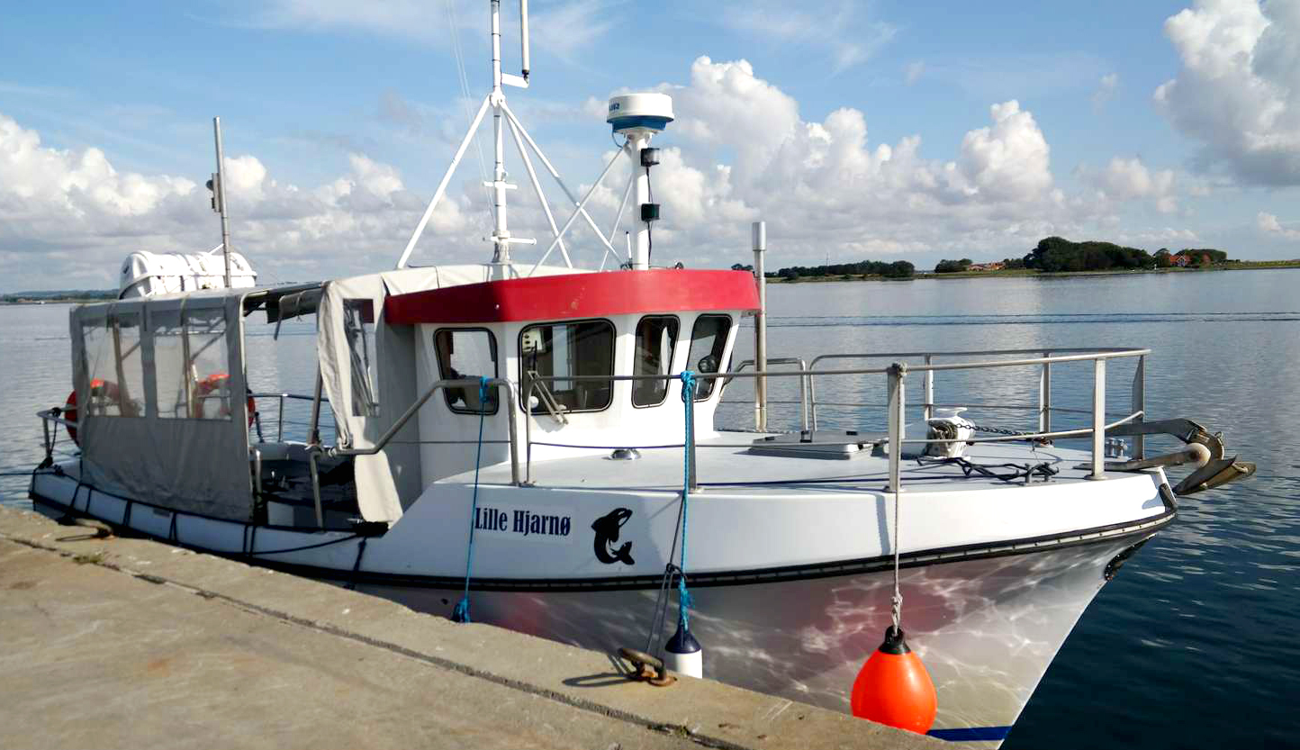 Den lille cykelfærge mellem Alrø og Hjarnø i Horsens Fjord