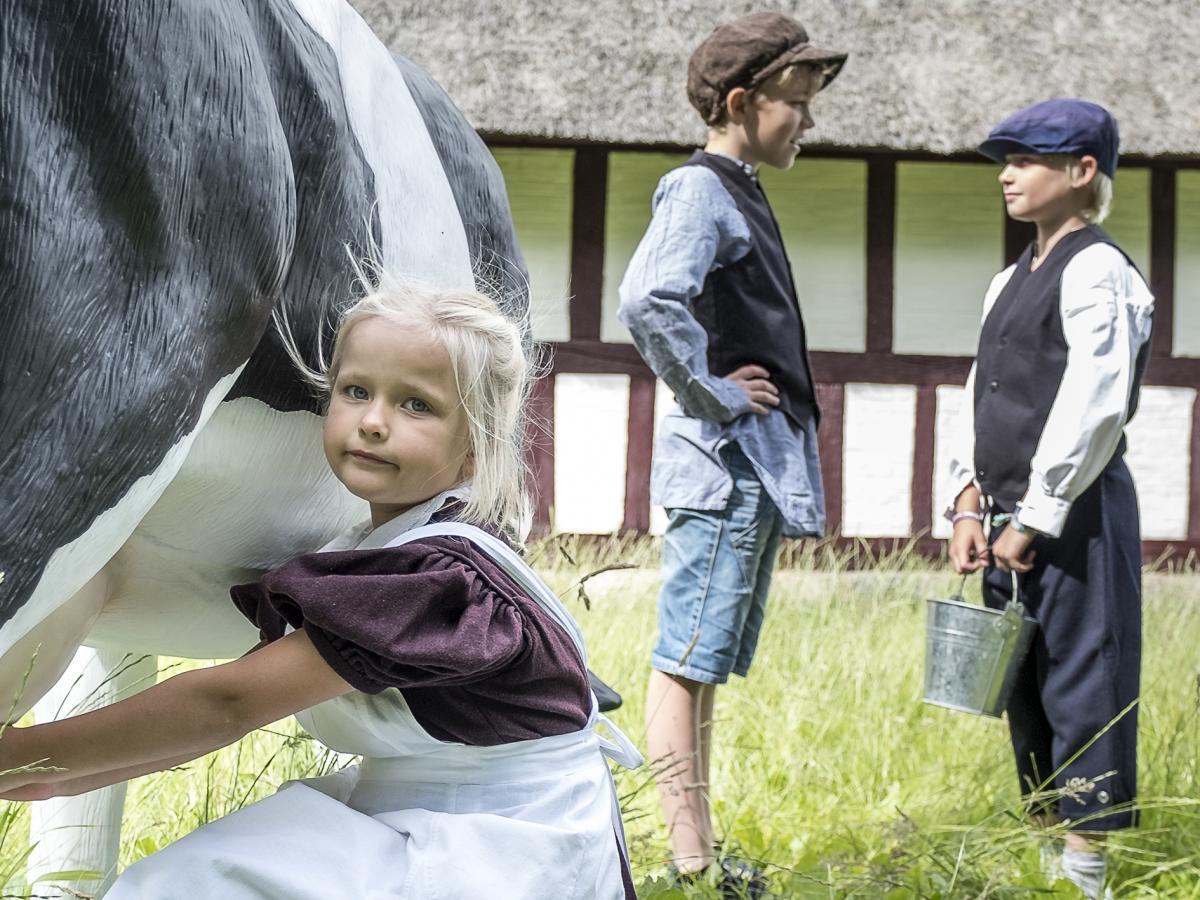 Pige malker ko med to drenge i baggrunden på Glud Museum i Kystlandet