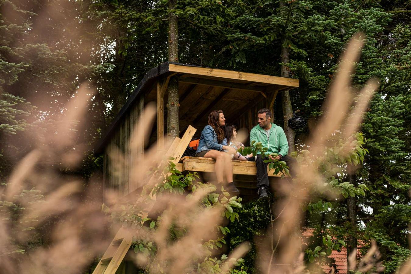 Gäste im Treetop-Shelter bei Holmely