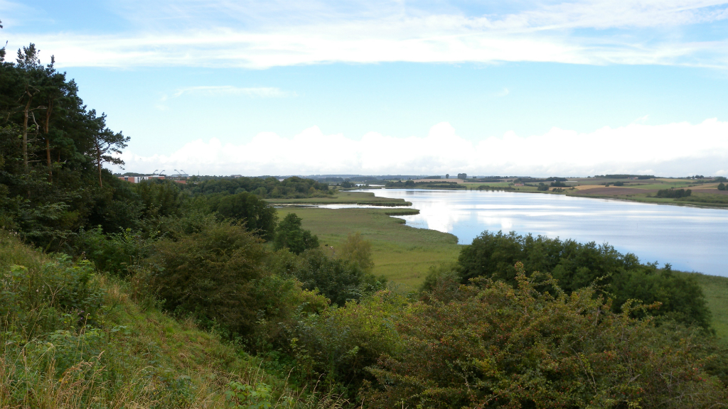 Aussicht über das Wildreservat vom Hügel in Stensballe
