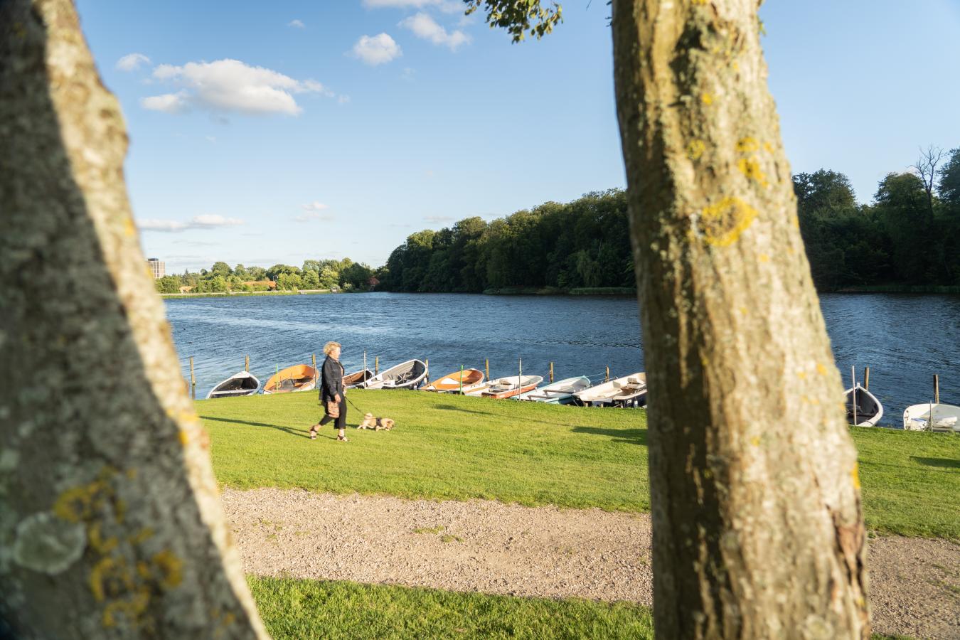 Woman walking her dog by Bygholm Lake
