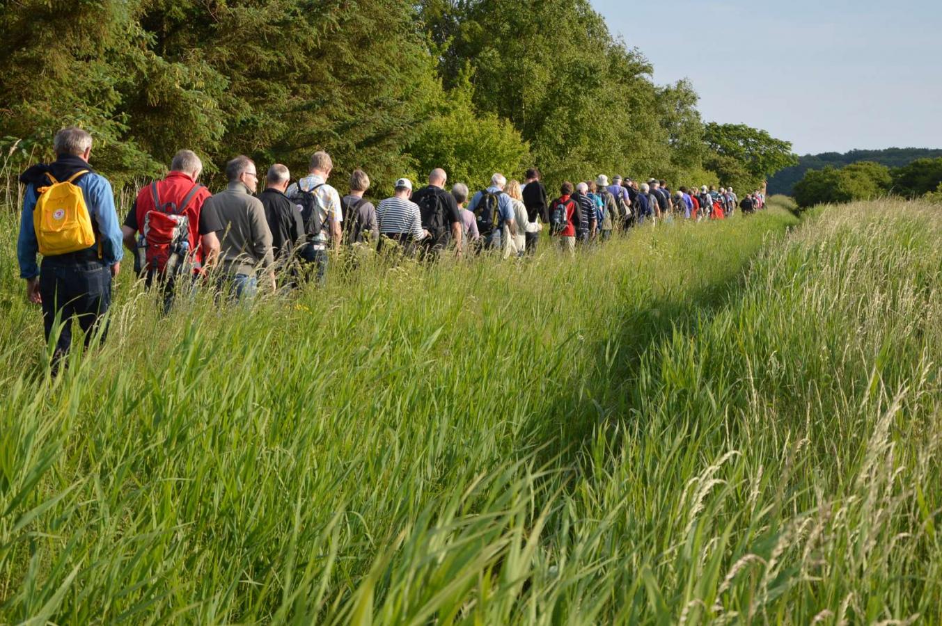 Large group on a guided walk at Gyllingnæs