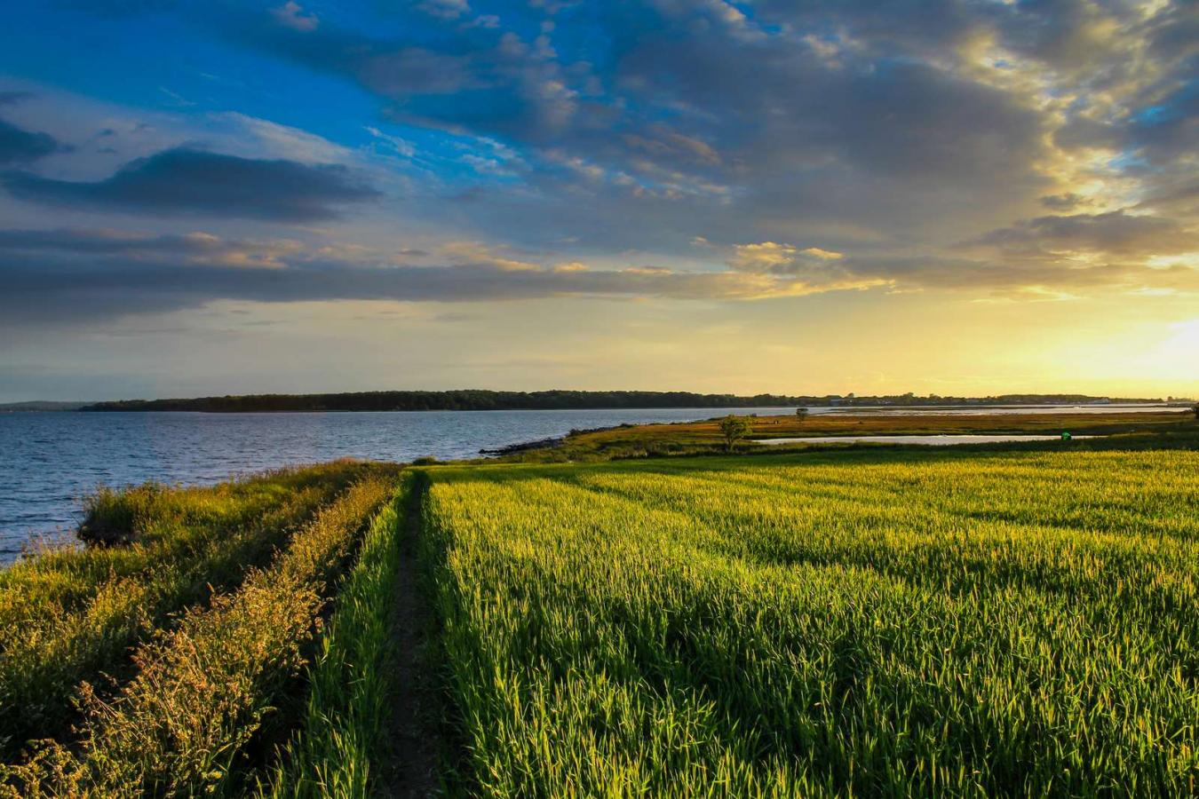 Sunset over a field on Hjarnø