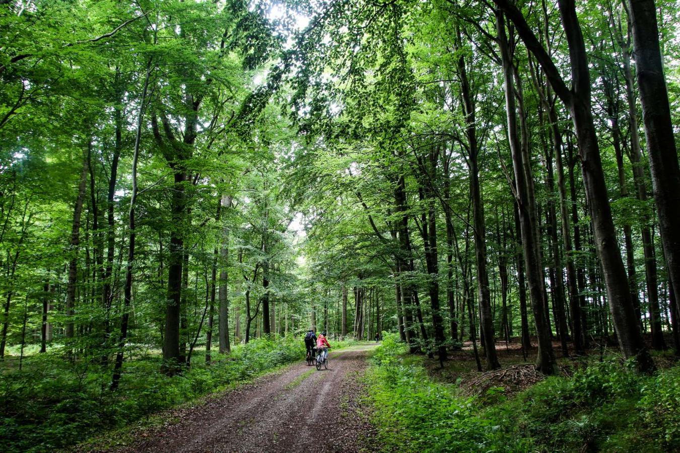A couple of cyclists on the Odder-Horsens railway trail