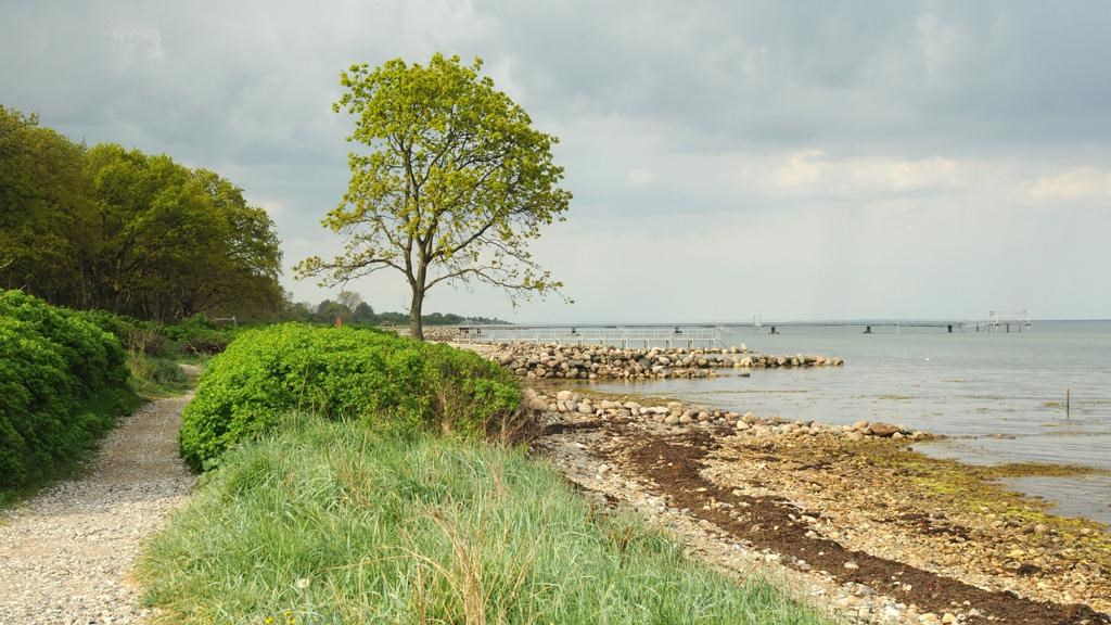 Kyststien ved Hou Strand