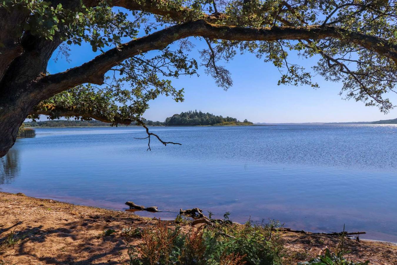Billede af Mossø set fra Klostermølle