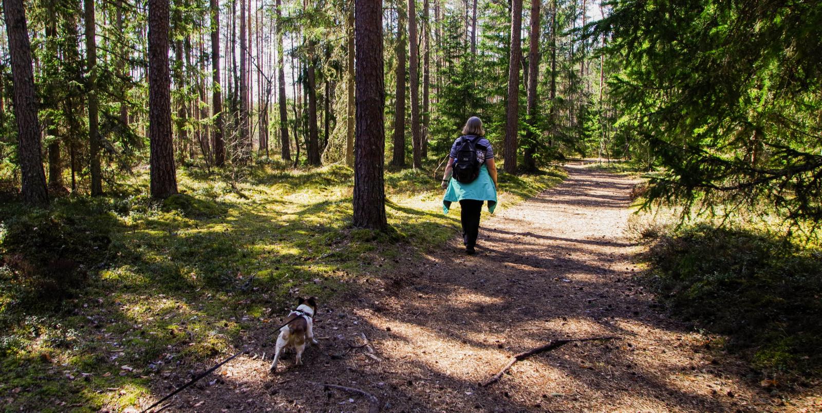 Kvinde går tur med hund i snor i en skov