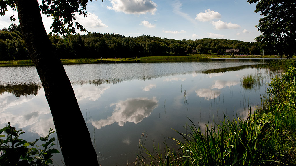 Rørbæk Sø