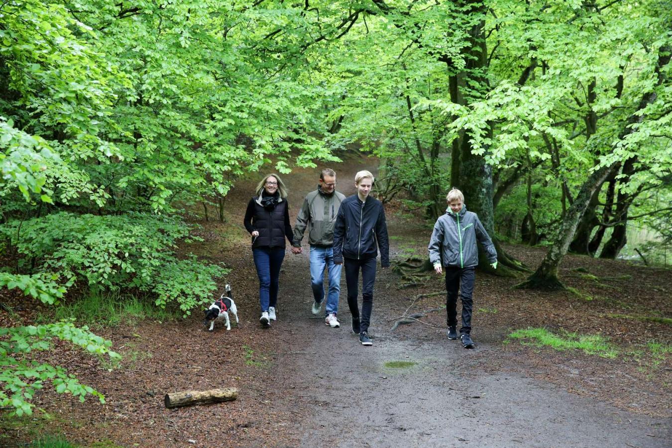 A family taking a walk in the forest with the dog