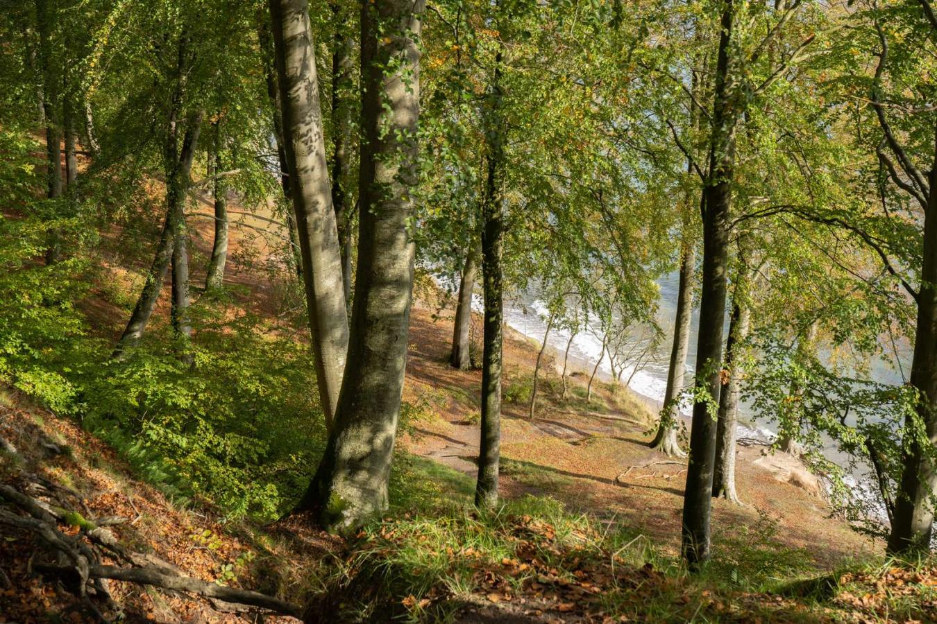 Slopes in Staksrode Skov