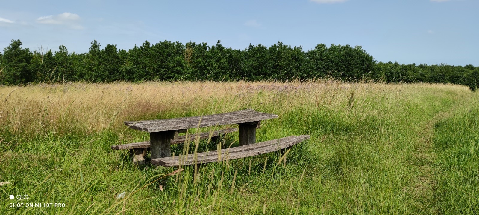 Picknicktisch am Trampelpfad im Wald von Sebberup