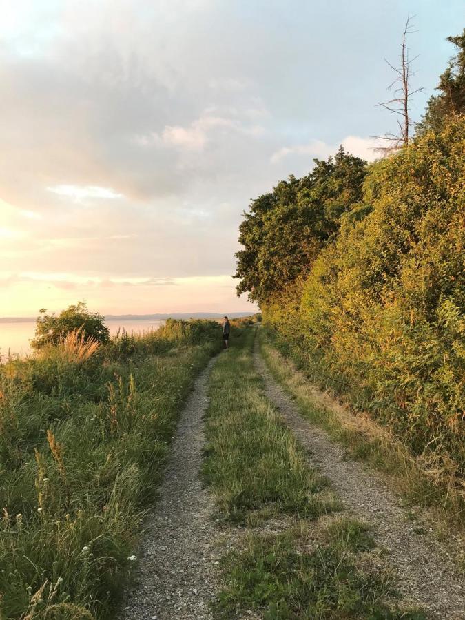 Man on a hiking trail at Borre Knob by Horsens Fjord
