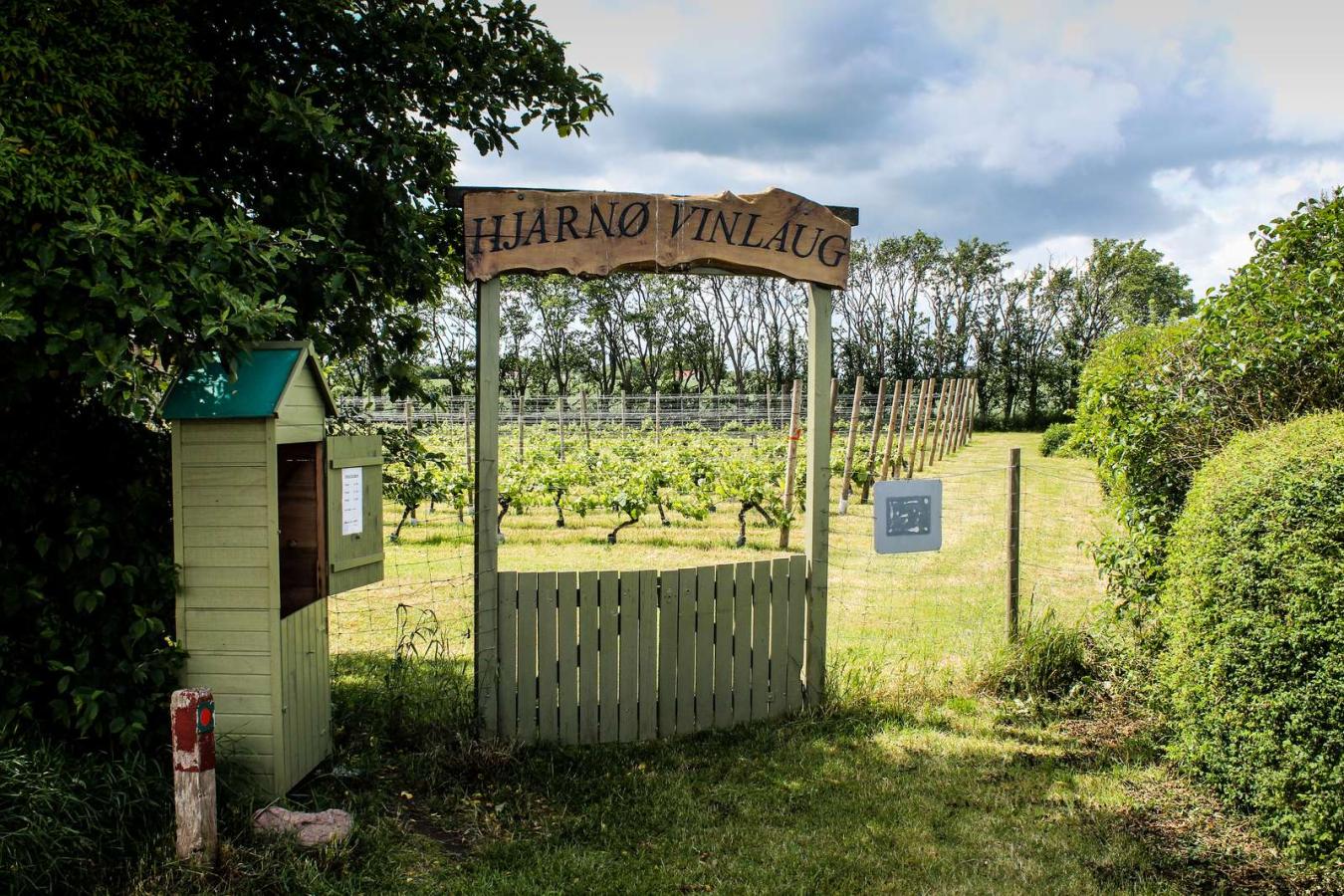 Visit the island’s Vinlaug (wine guild) on Hjarnø in the East Jutland Archipelago - part of Destination Coastal Land