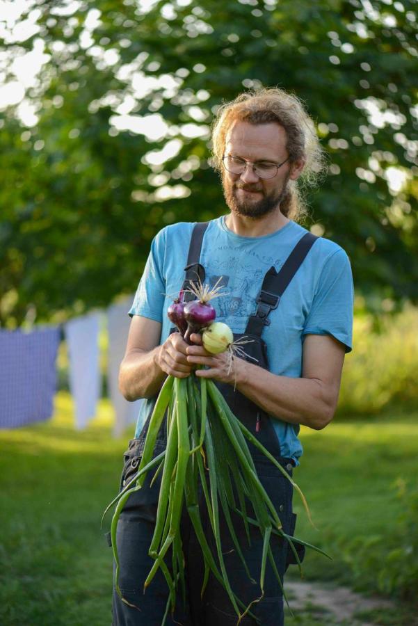 Søren Sørøver vom Brandbygegaard präsentiert feine, frisch geerntete Zwiebeln im Garten nahe Alrø in Odder