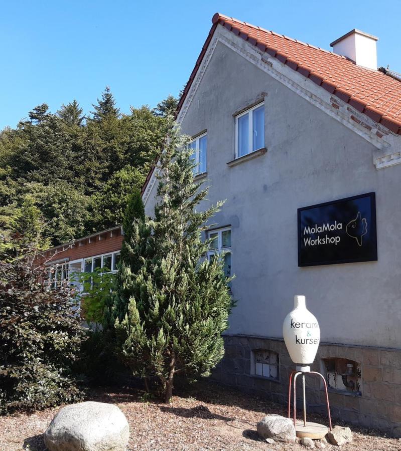 Ceramics courses at Mola Mola in Voervadsbro, Horsens, Destination Coastal Land