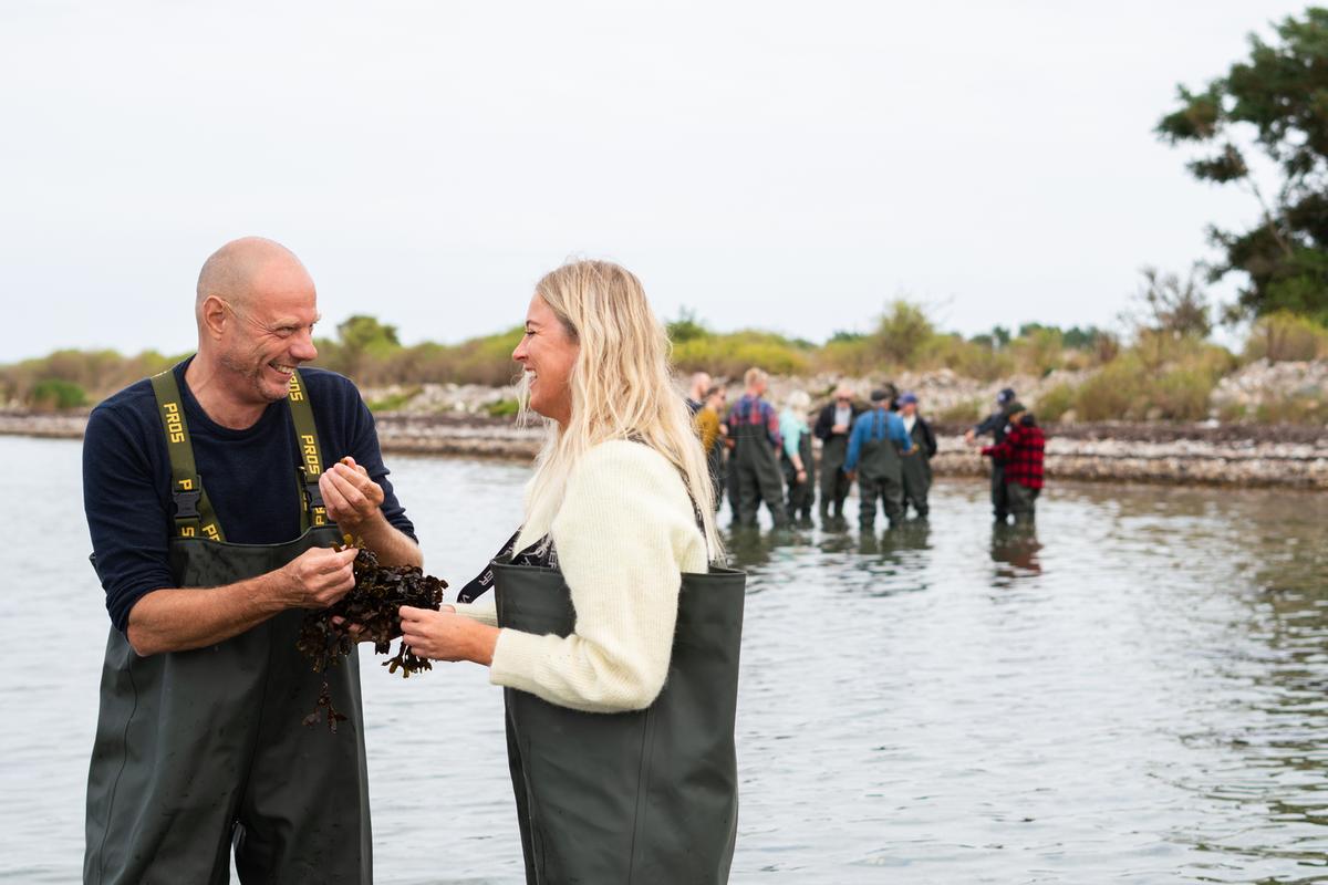 Mand og kvinde på tang sanketur i Kystlandet 