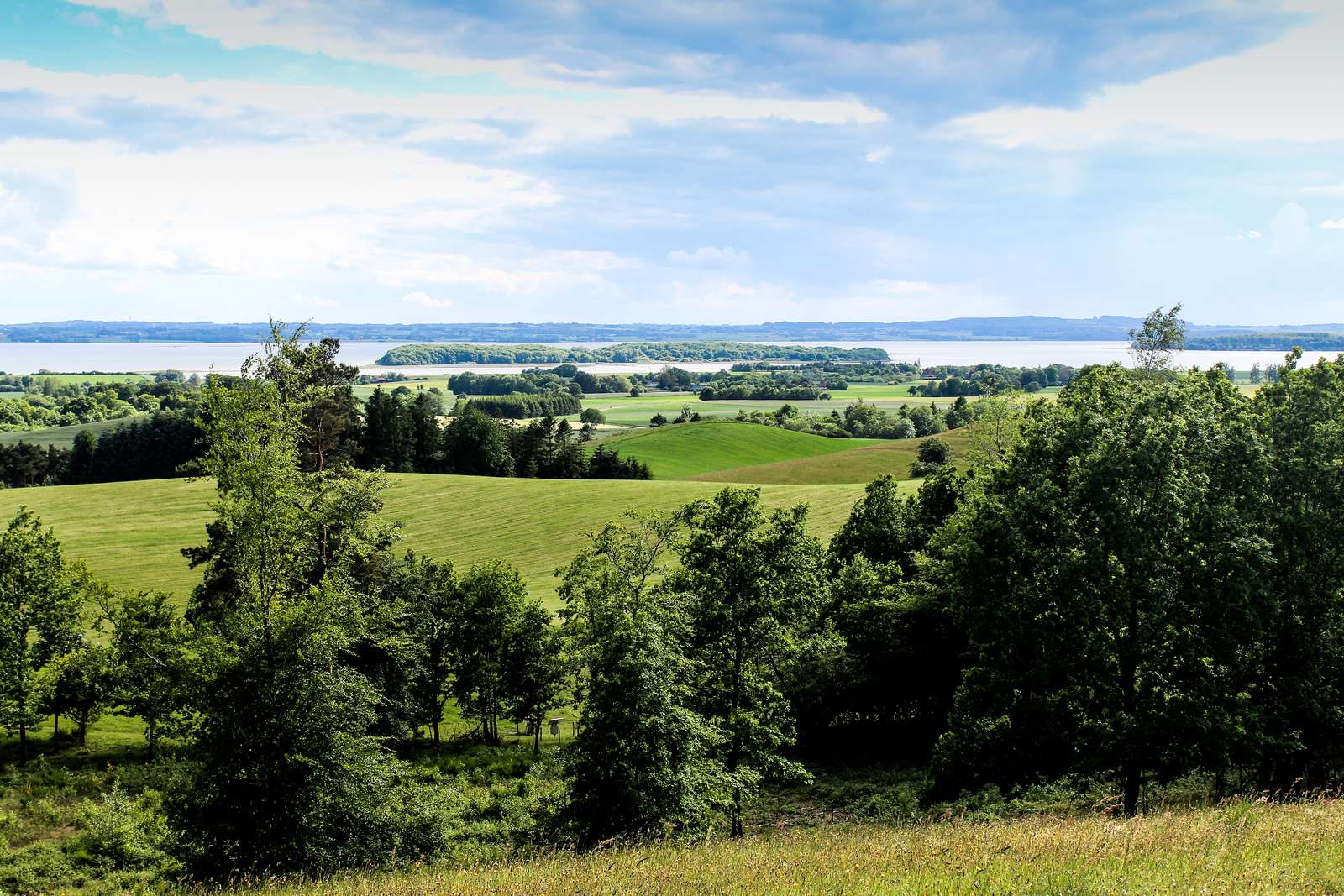Udsigt over Horsens Fjord