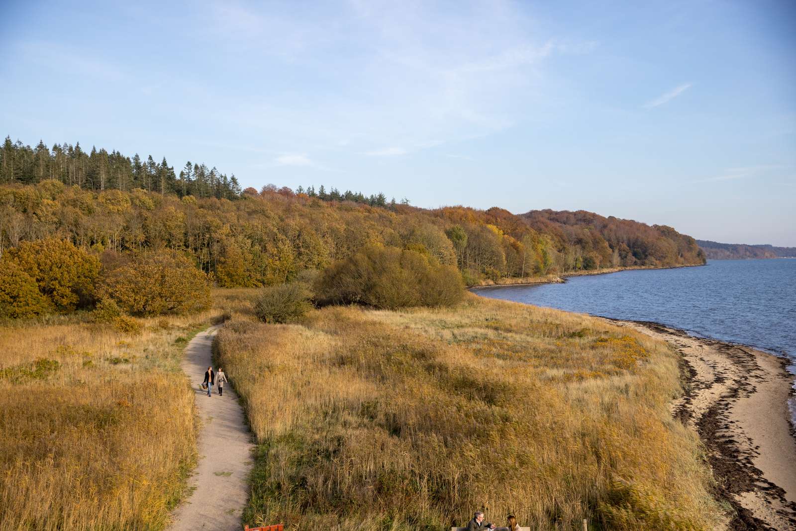 Kyststrækning ved Vejle Fjord