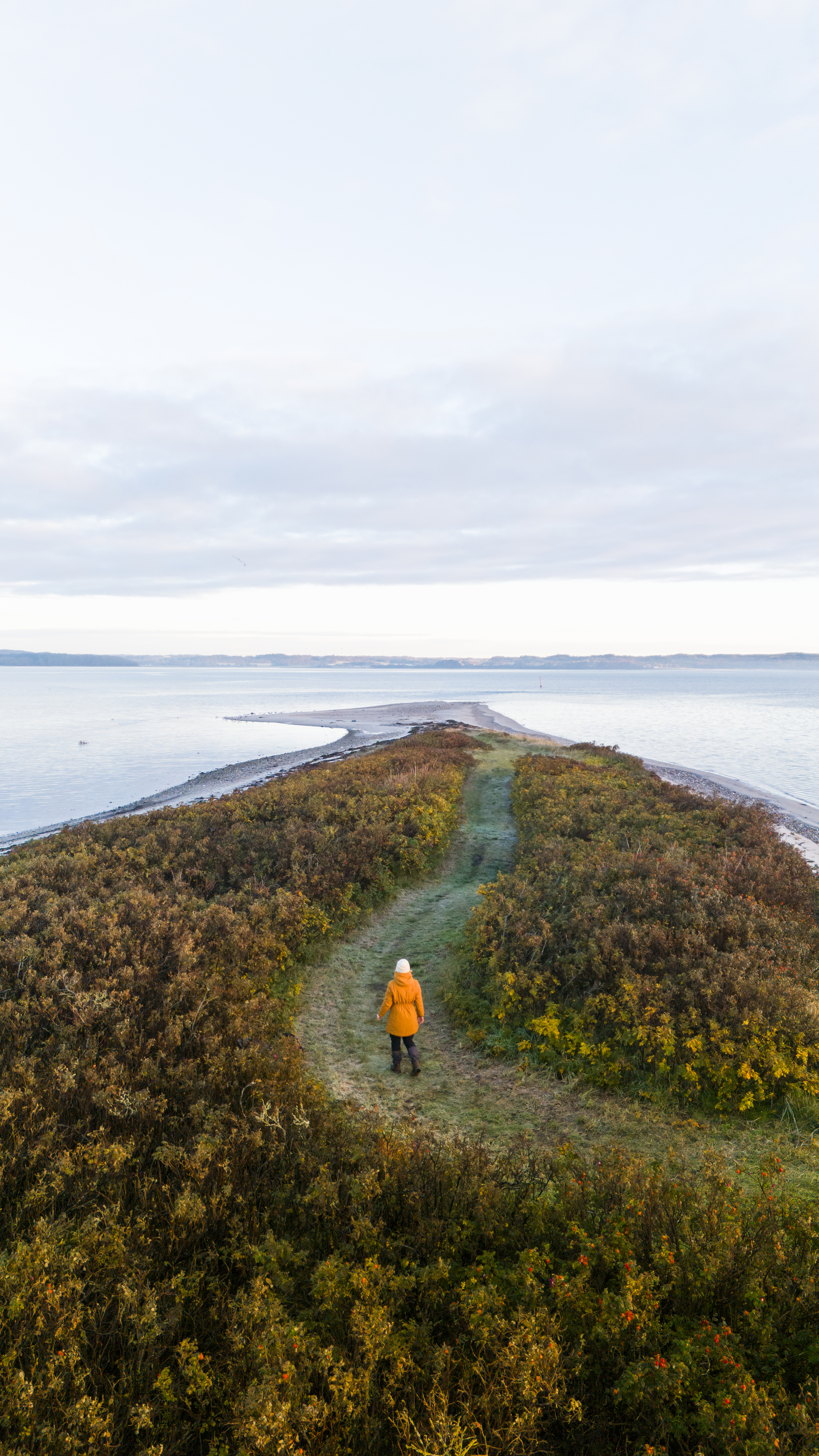 Borre Knob i Horsens Fjord
