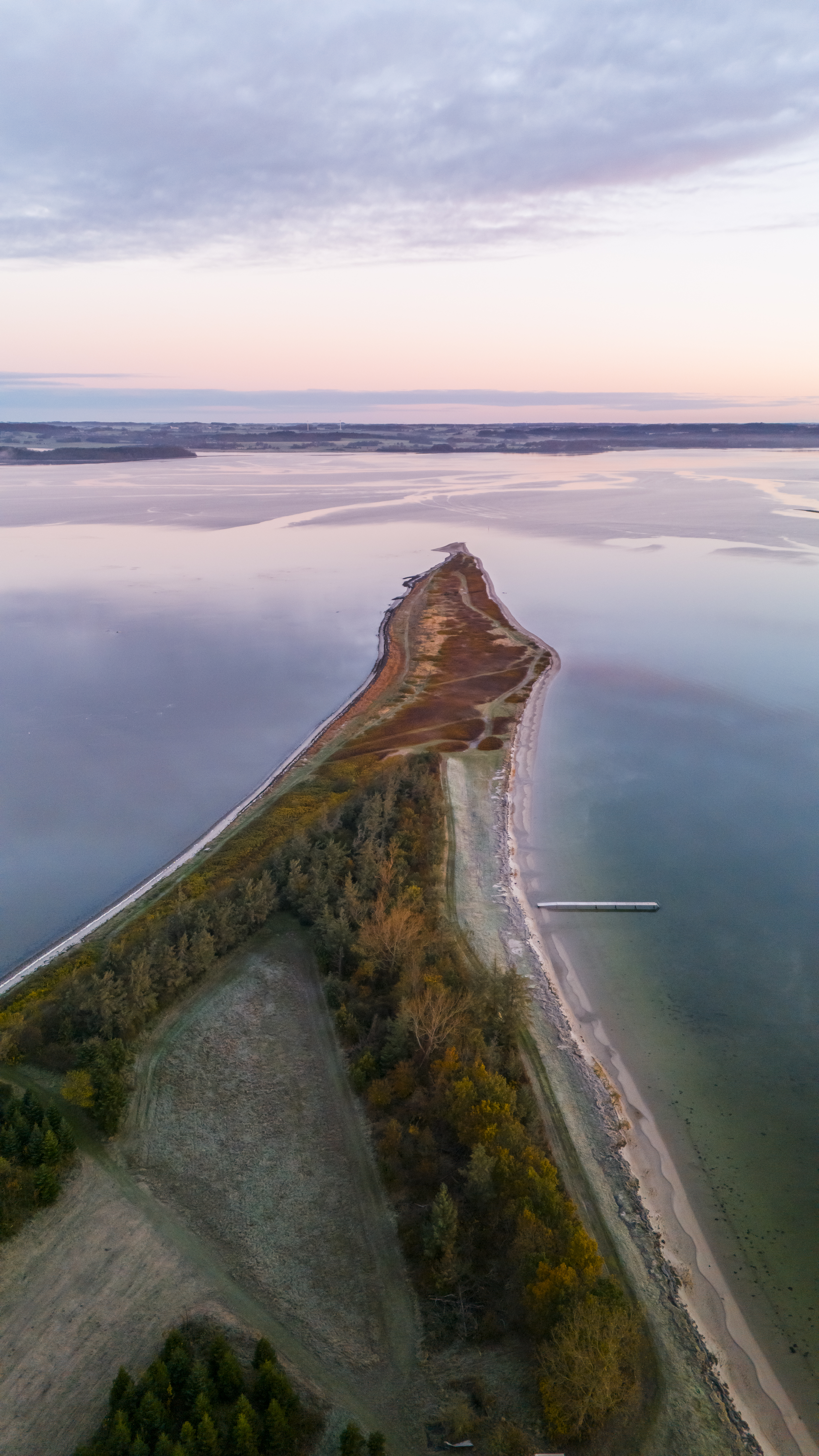 Borre Knob ved Horsens Fjord