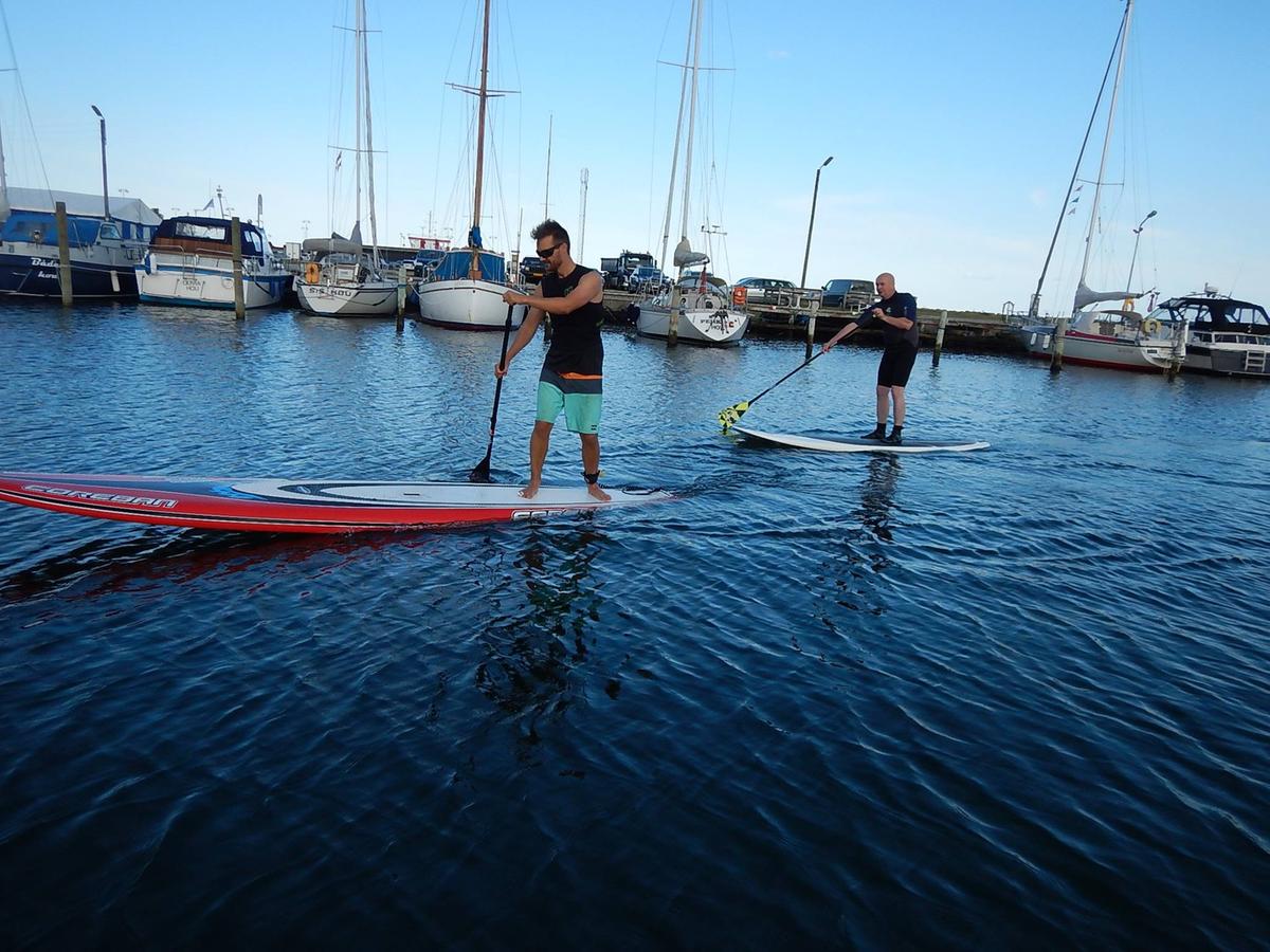 To mænd padler på SUP board i Hou Havn