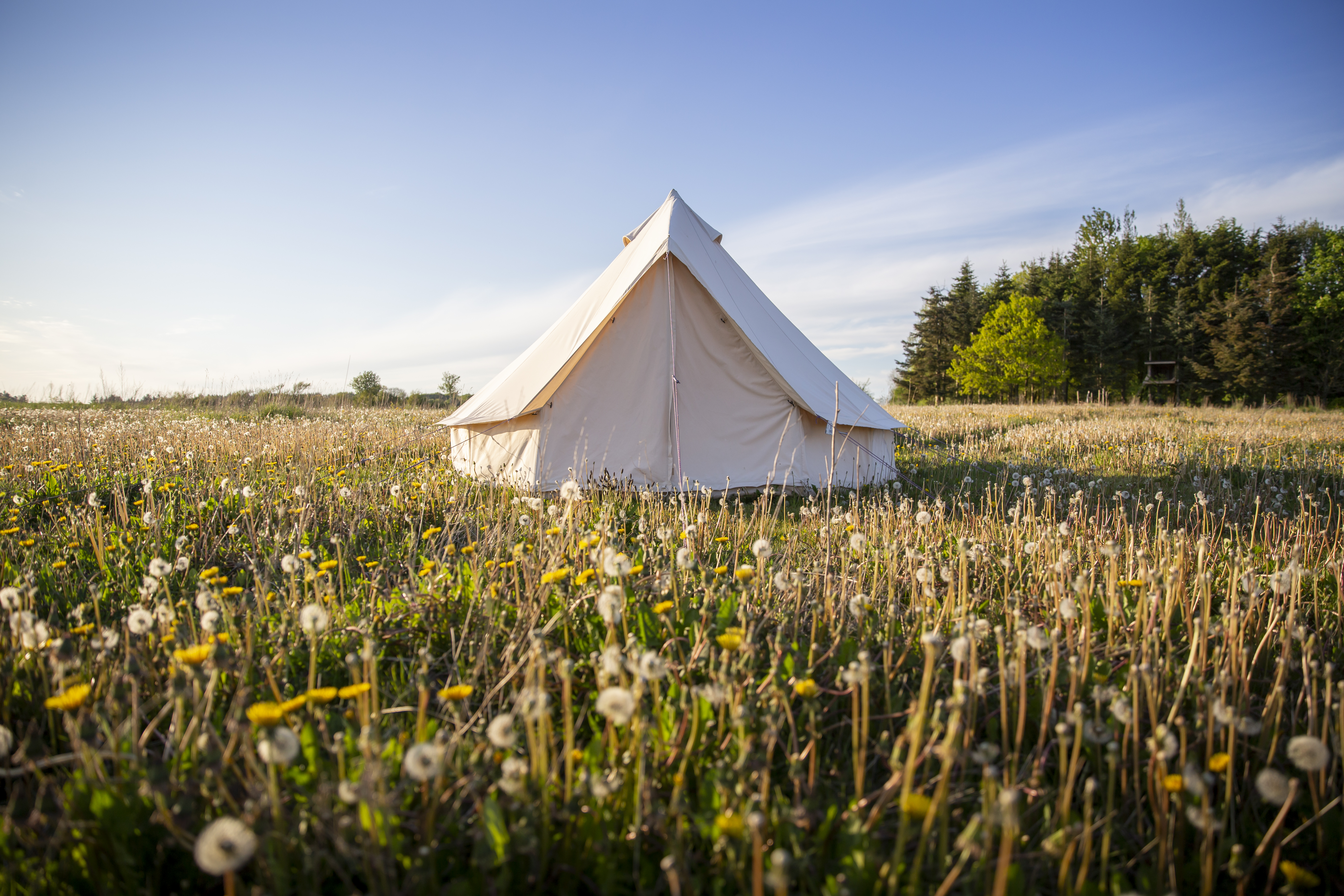 kystlandet-bakkelandet-holmely-glamping-sarah-green-2.jpg