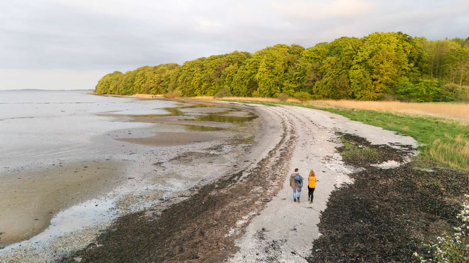 Boller Skov på Fjordminoen