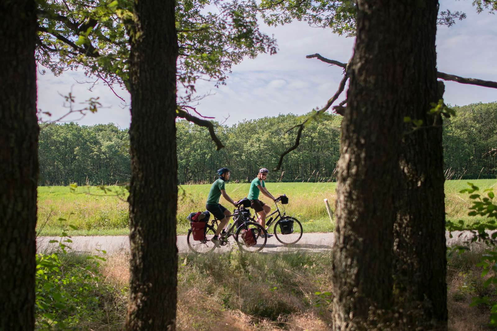 cykeltur ved Tinnet Krat