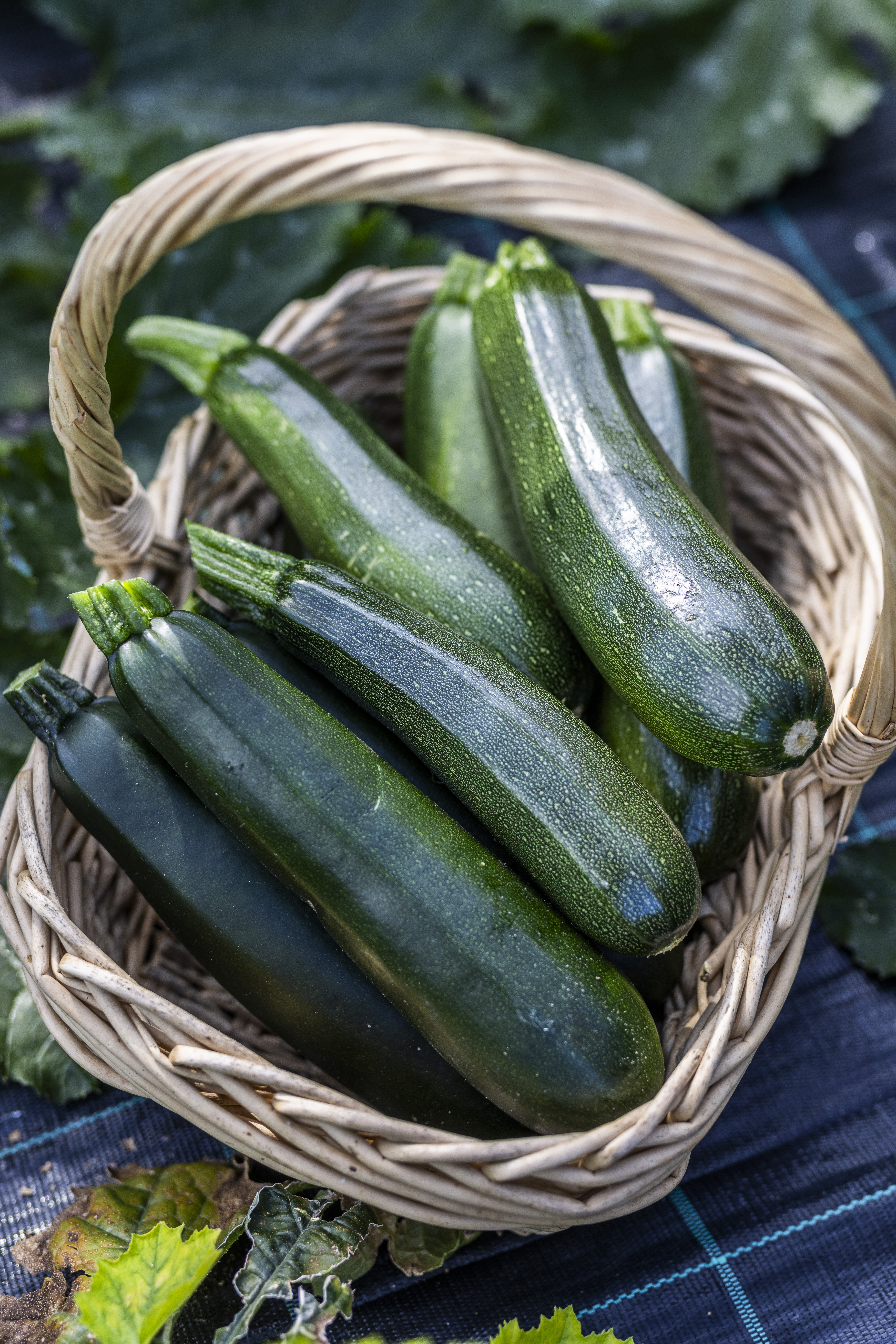 Grøntsager i en kurv hos gårdbutikken og landbruget Det Lille Økori 