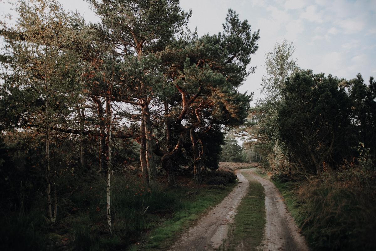 Naturøen Endelave