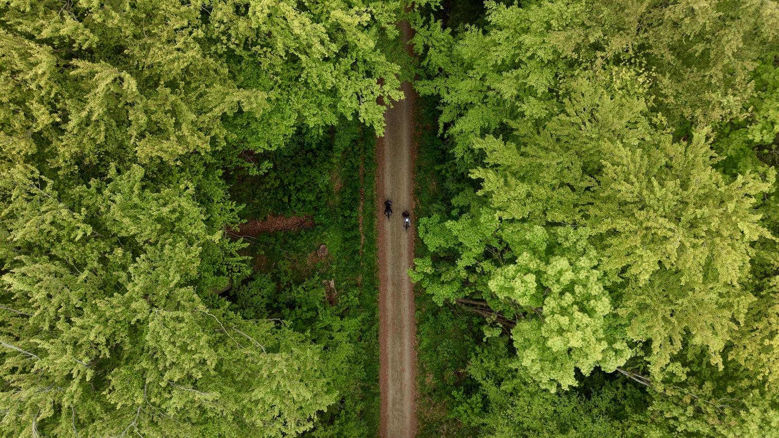Luftfoto af cyklister på en sti i Stensballe Skov