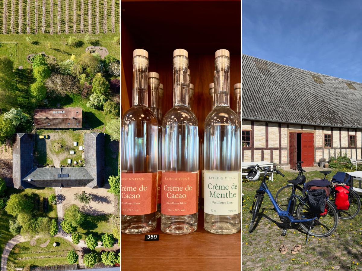 Collage af billeder fra Brandbygegaard