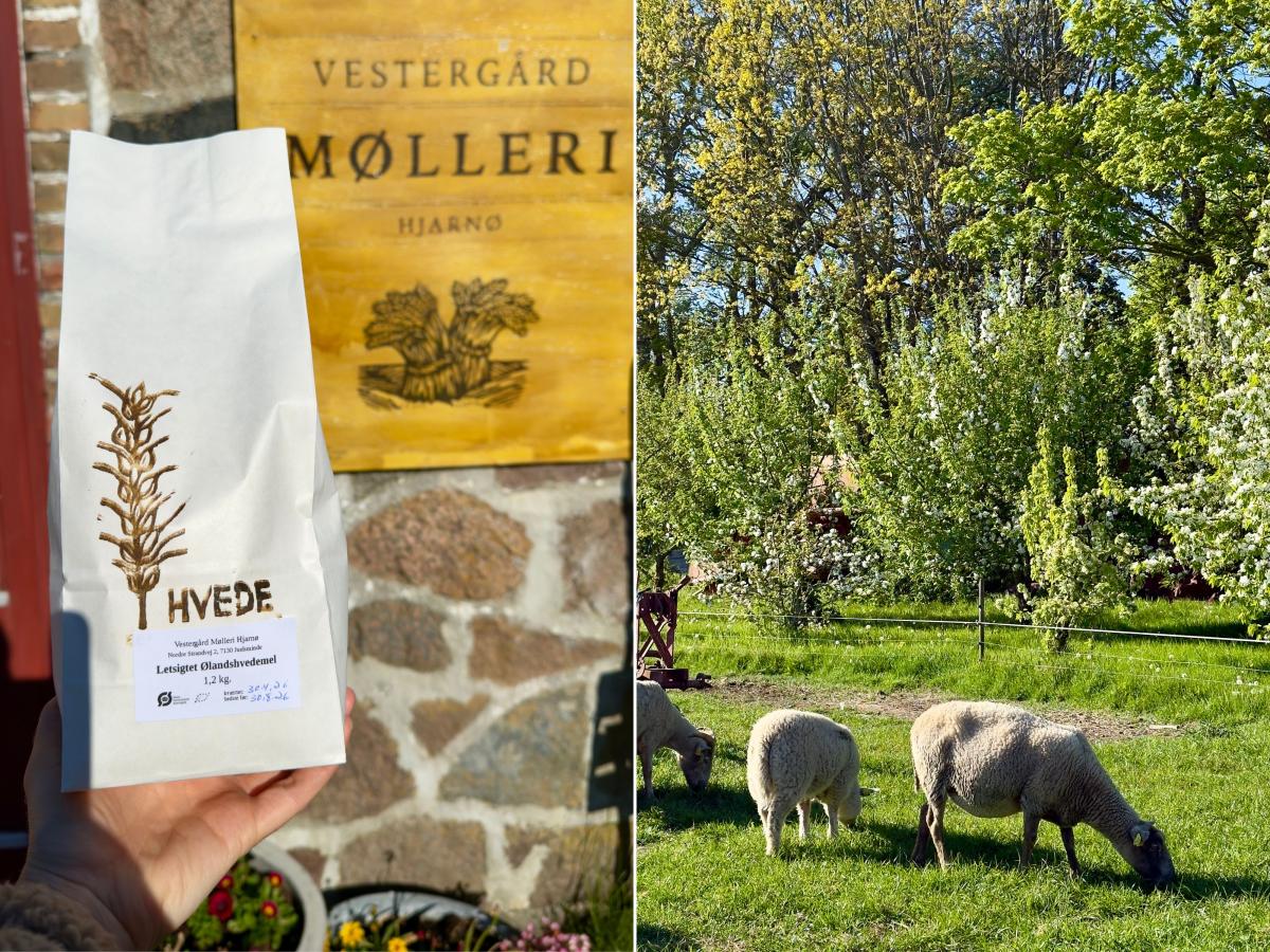 Collage med billeder fra Vestergaard Mølleri