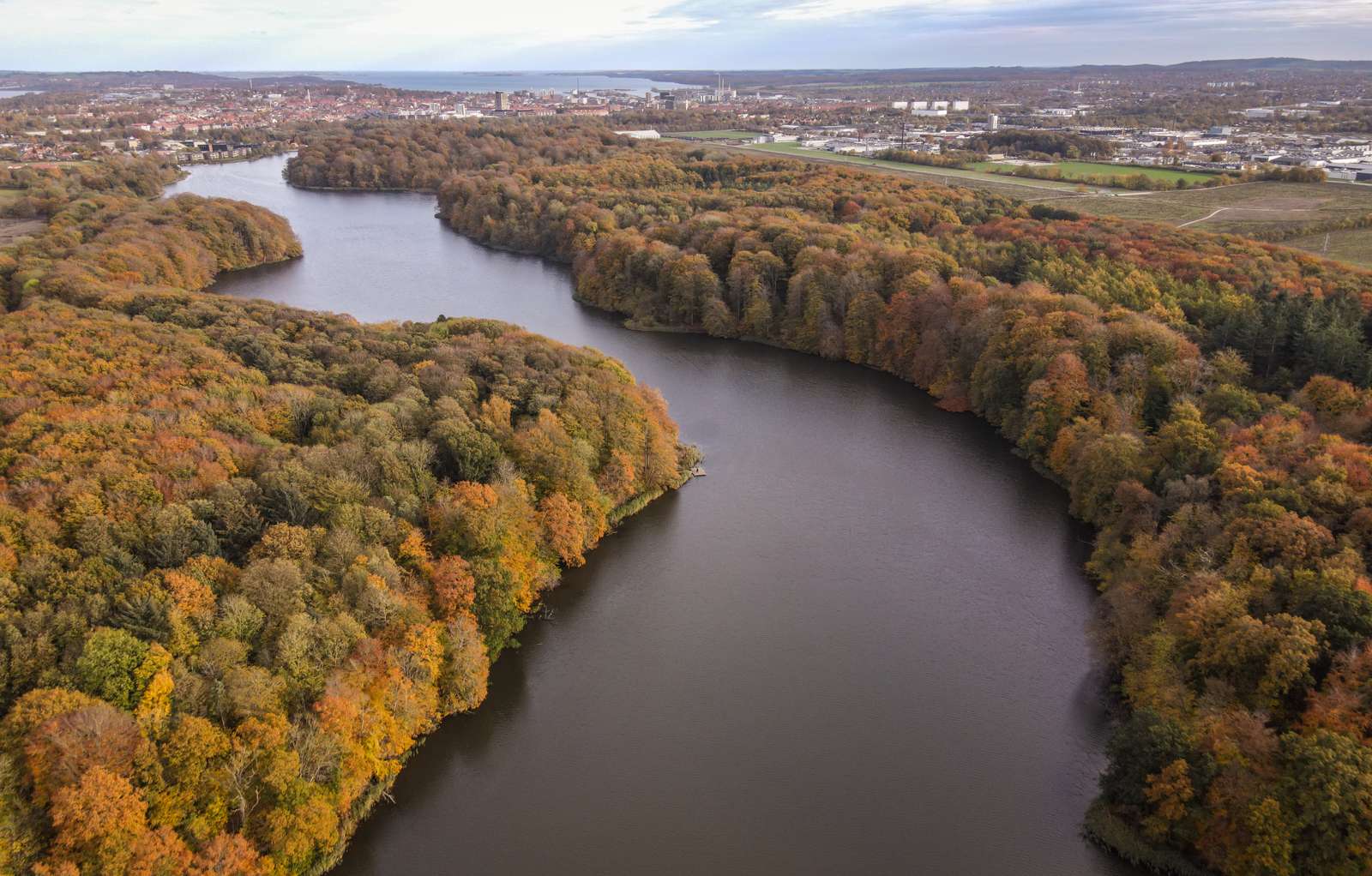 Luftfoto af Bygholm Sø i efterårsfarver med Horsens i baggrunden