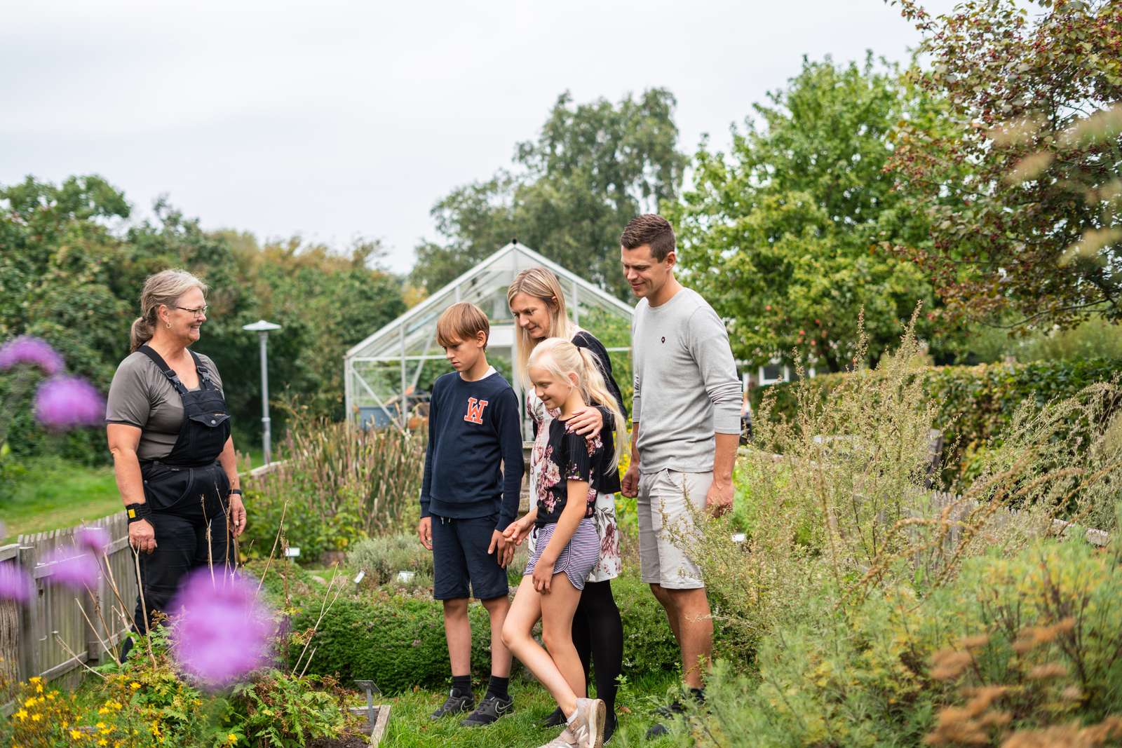 En familie kigger på urter i Endelave Lægeurtehave