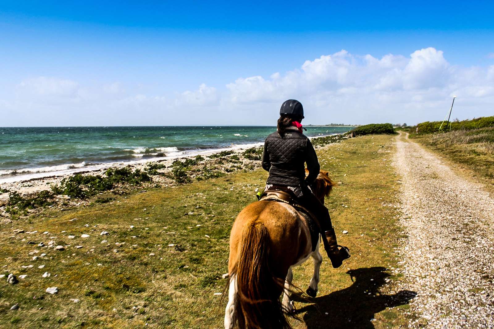 Kvinde rider på hest ved kysten på Endelave